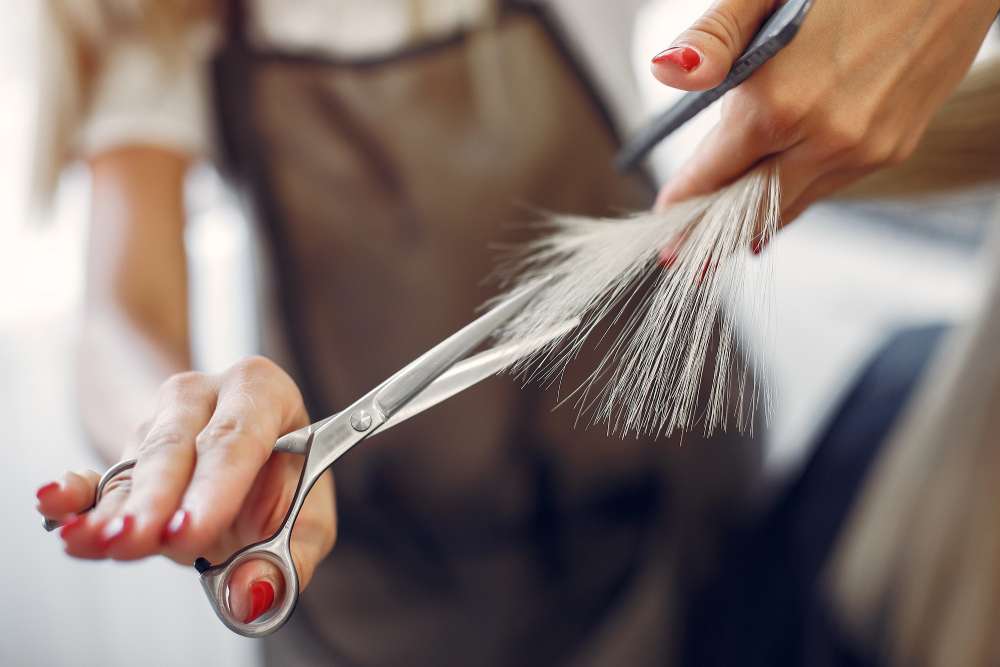 Style cut img